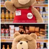 Ted2-ted action plysjfigur